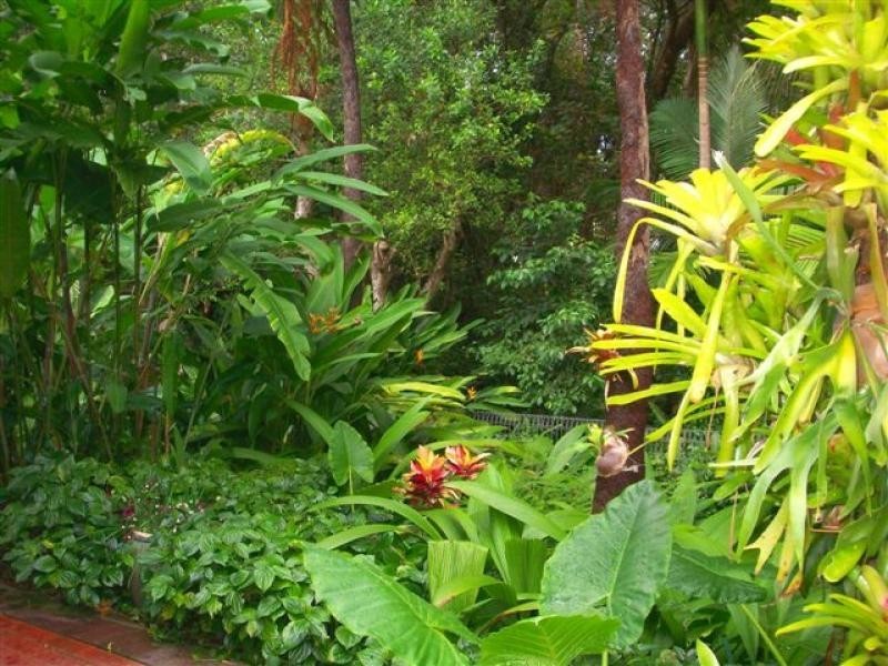 137 Arlington Esplanade, Clifton Beach QLD 4879