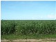 Lot 24 Capt Cook Highway, Holloways Beach QLD 4878