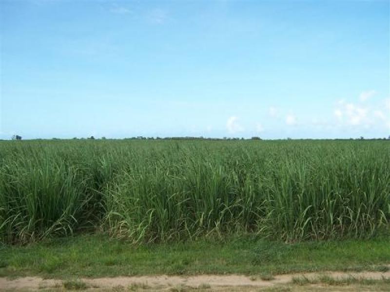 Lot 24 Capt Cook Highway, Holloways Beach QLD 4878