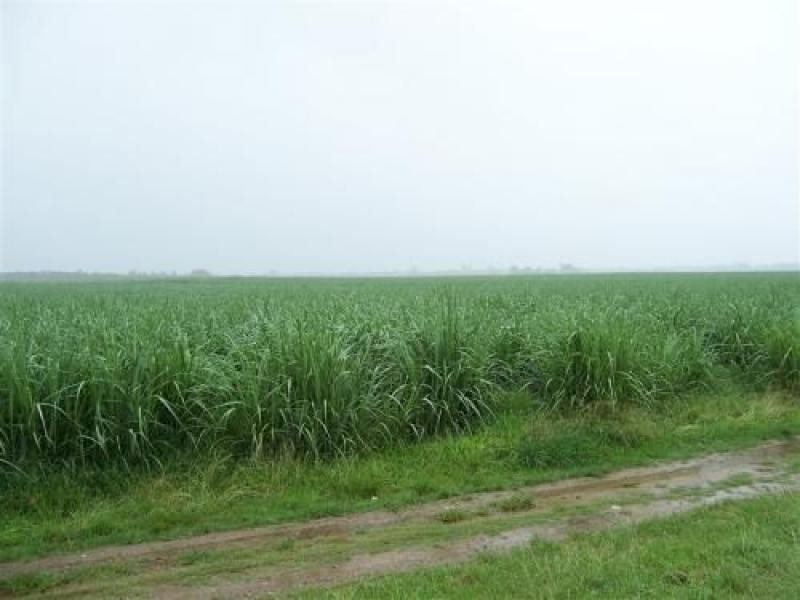 Lot 24 Capt Cook Highway, Holloways Beach QLD 4878