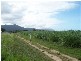 Lot 24 Capt Cook Highway, Holloways Beach QLD 4878