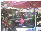 83 Esplanade, Cairns QLD 4870
