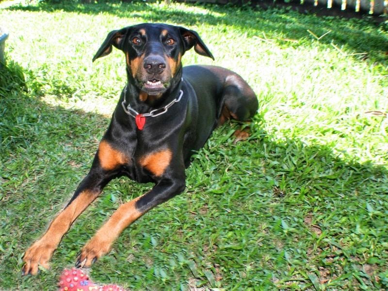 3/3-4 Seary Street, Whitfield QLD 4870