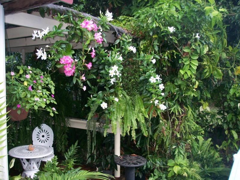 42 Collinson Street, Westcourt QLD 4870