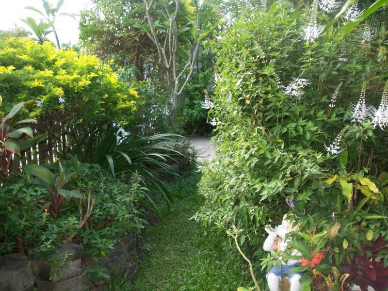 42 Collinson Street, Westcourt QLD 4870