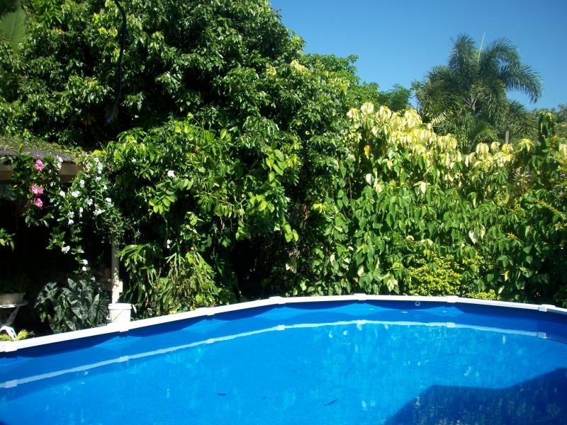 42 Collinson Street, Westcourt QLD 4870