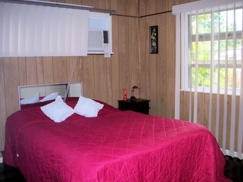 20 Pyne Street, Edmonton QLD 4869