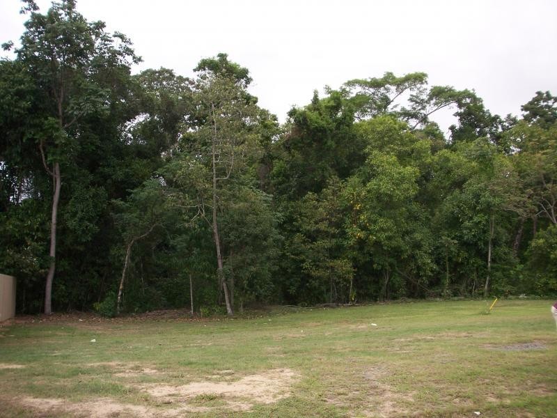 13 Muller Street, Palm Cove QLD 4879