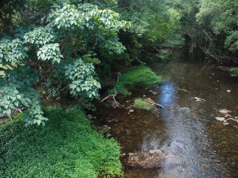 29 Huntley Crescent, Redlynch QLD 4870