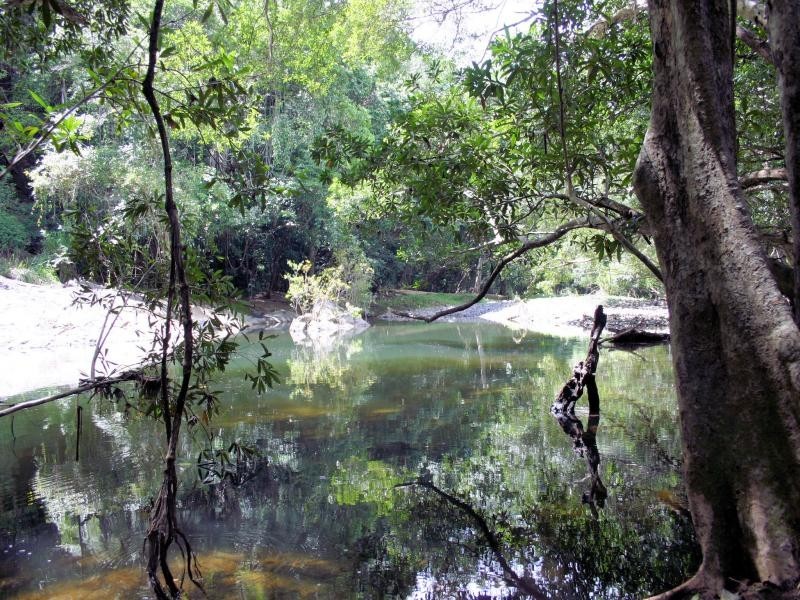 12 Stringer Close, Redlynch QLD 4870