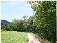 12 Stringer Close, Redlynch QLD 4870