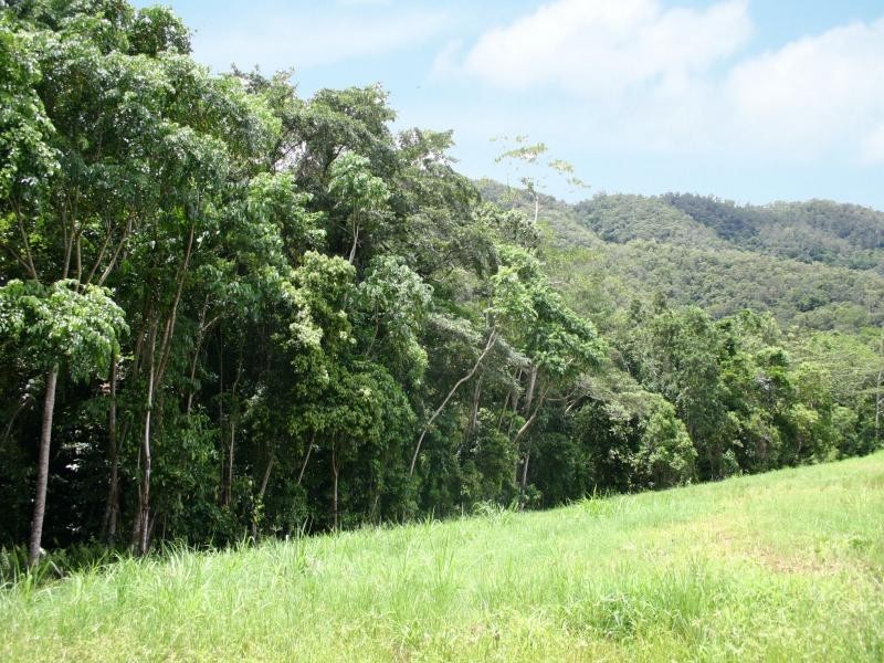 12 Stringer Close, Redlynch QLD 4870