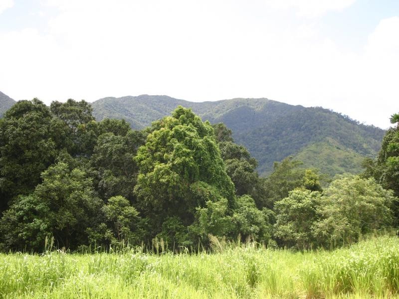 Lot 202 McBride Street, Redlynch QLD 4870