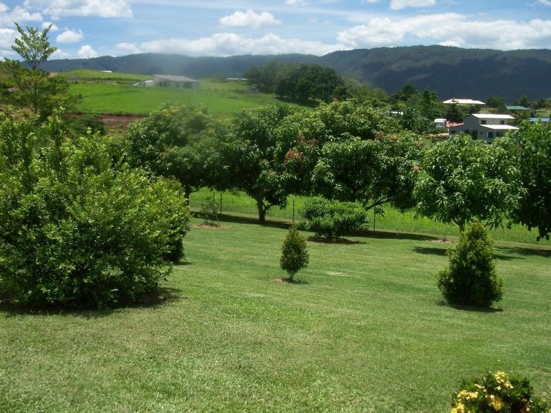 99 Windlass Street, Goldsborough QLD 4865