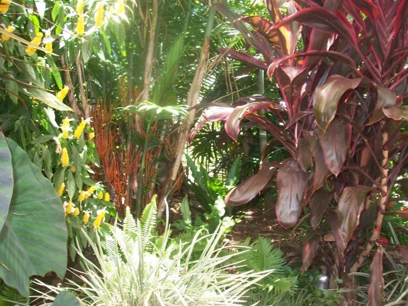 99 Windlass Street, Goldsborough QLD 4865