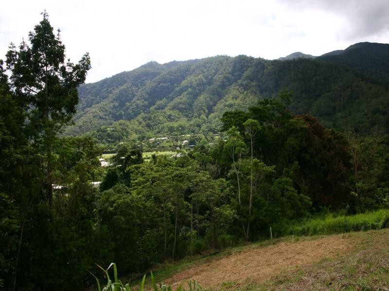 Lot 38 Xavier Herbert Drive, Redlynch QLD 4870