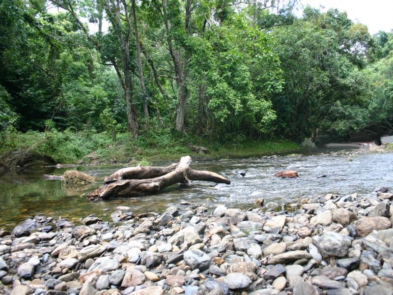 Lot 38 Xavier Herbert Drive, Redlynch QLD 4870