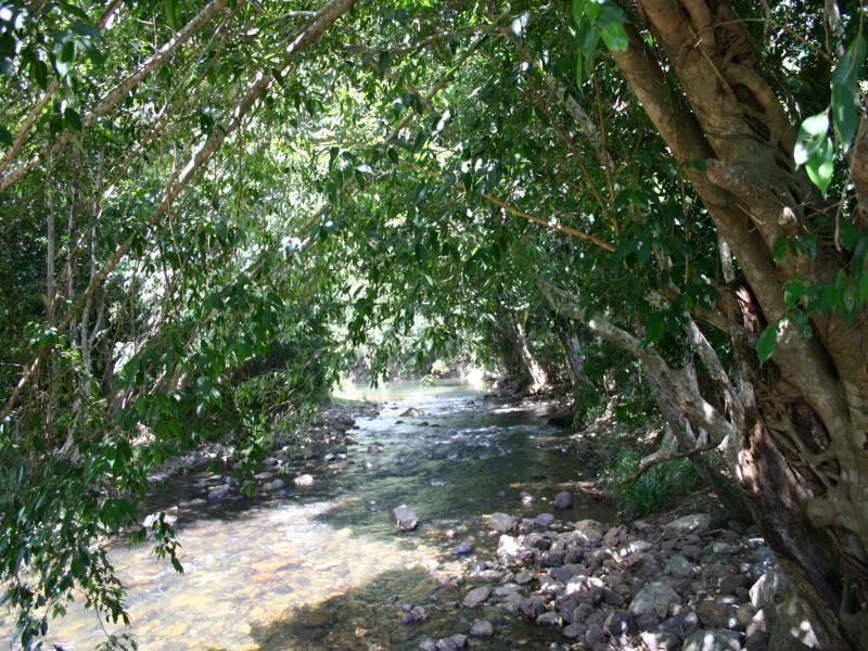 Lot 221 Jak Gee Street, Redlynch QLD 4870