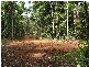 Lot 221 Jak Gee Street, Redlynch QLD 4870
