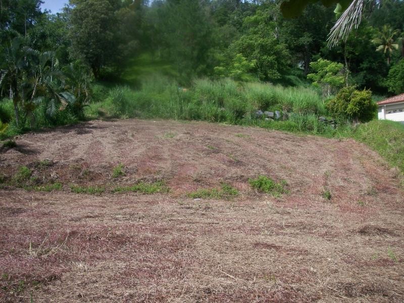 Lot 4 Lake Morris Road, Kanimbla QLD 4870