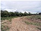 33 Querin Road, Biboohra QLD 4880