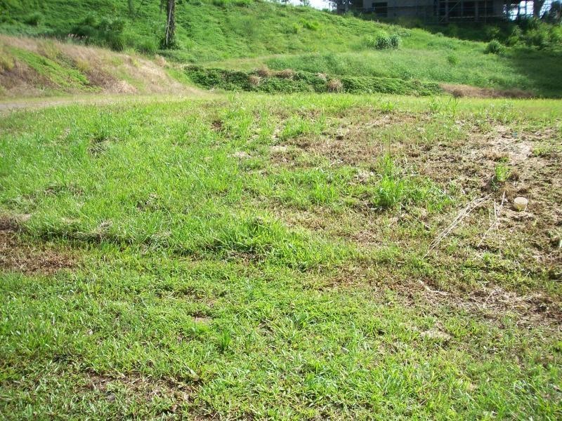 8 Bel-Air Drive, Whitfield QLD 4870