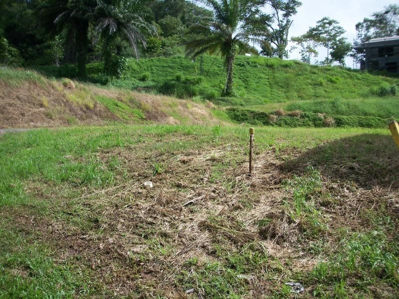 8 Bel-Air Drive, Whitfield QLD 4870