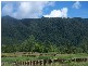 Lot 322 Fitzmaurice Drive, Bentley Park QLD 4869