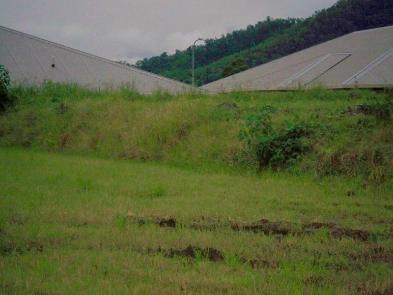 Lot 322 Fitzmaurice Drive, Bentley Park QLD 4869