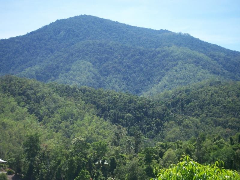 Lot 87 Costain Street, Goldsborough QLD 4865