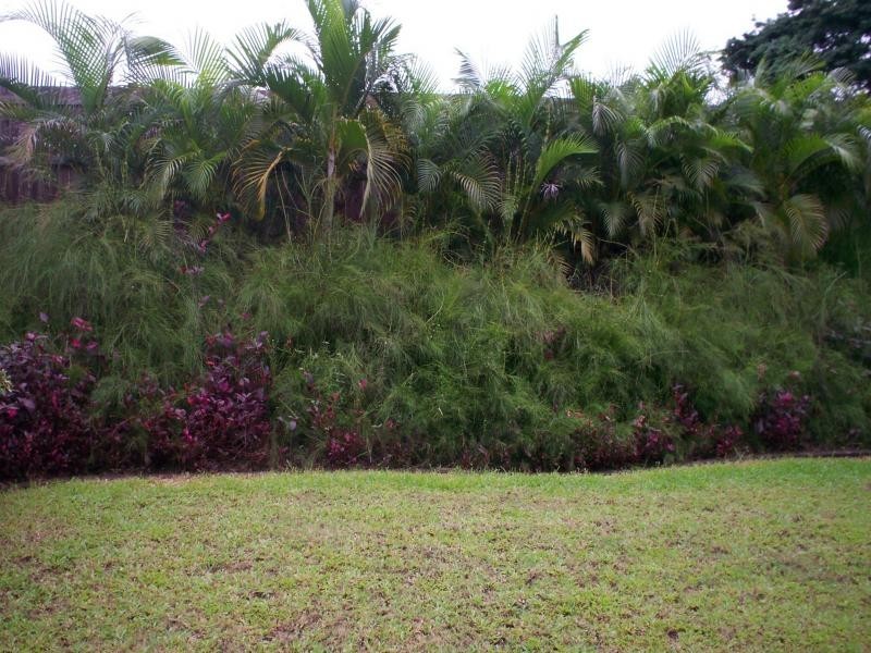 55 Monsoon Terrace, Mount Sheridan QLD 4868