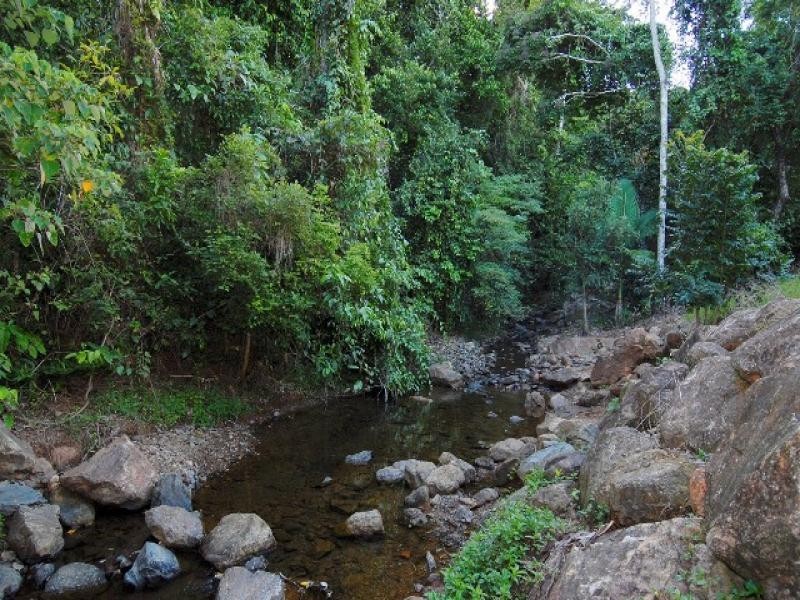 49 Red Peak Boulavard, Caravonica QLD 4878