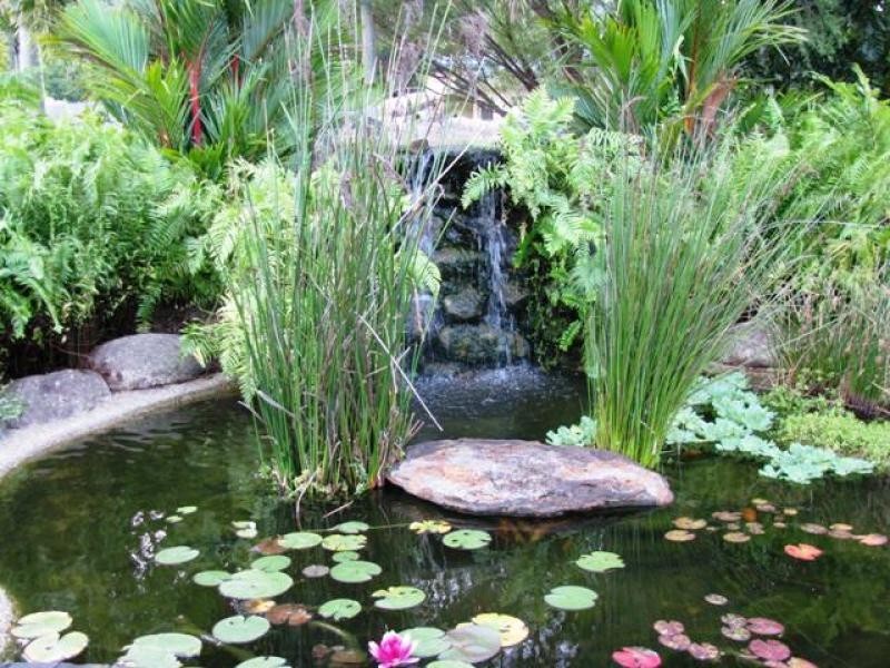 33-35 Runnymede Ave, Redlynch QLD 4870