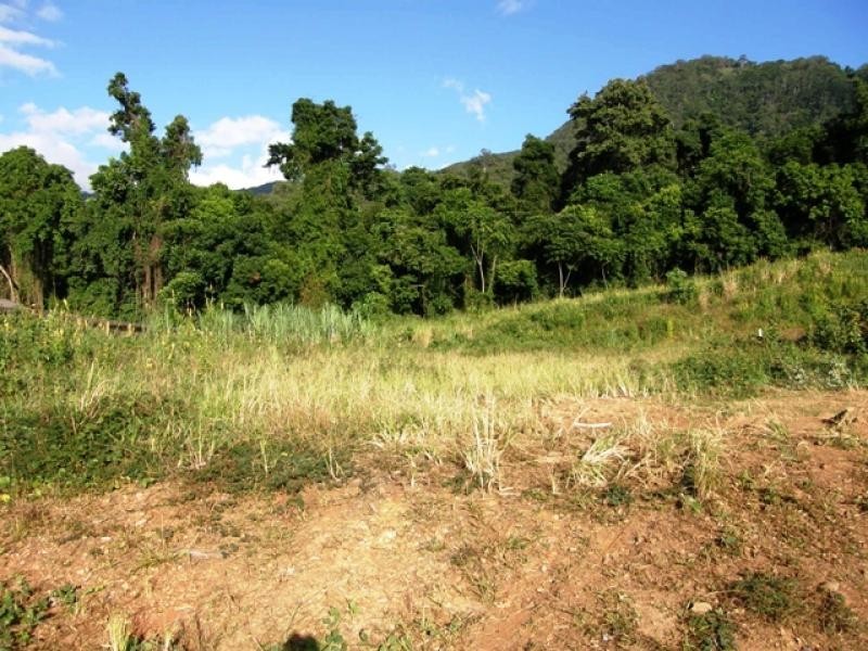 93 Fitzmaurice Drive, Bentley Park QLD 4869