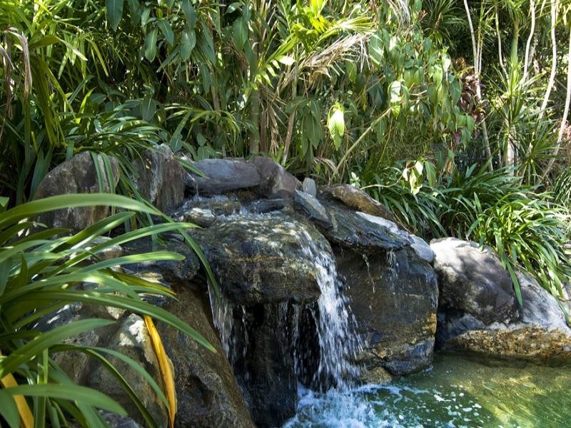 22 Chapel Close, Brinsmead QLD 4870