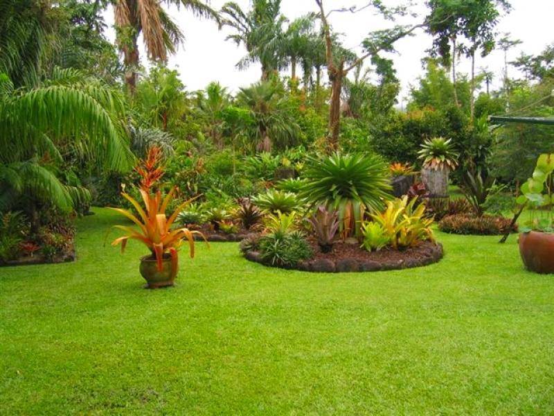 Lot 1 (21) Munro Road, Bellenden Ker QLD 4871