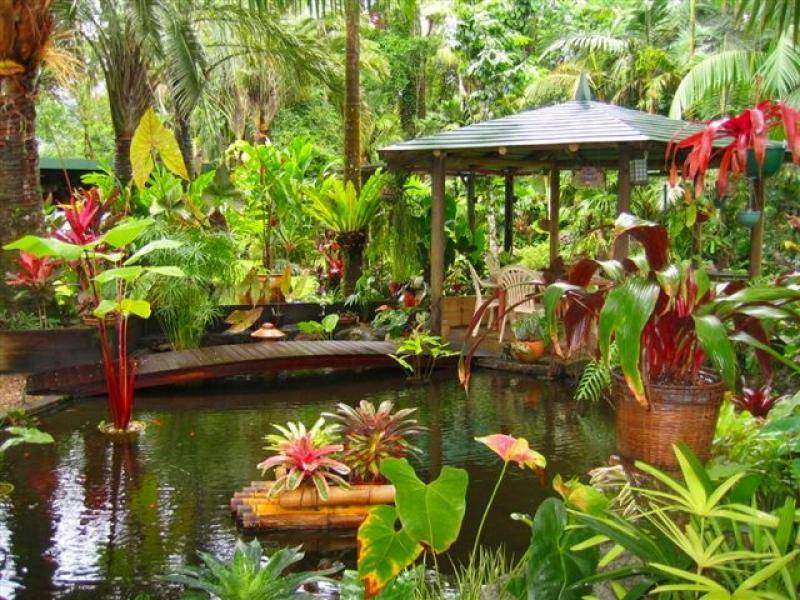 Lot 1 (21) Munro Road, Bellenden Ker QLD 4871