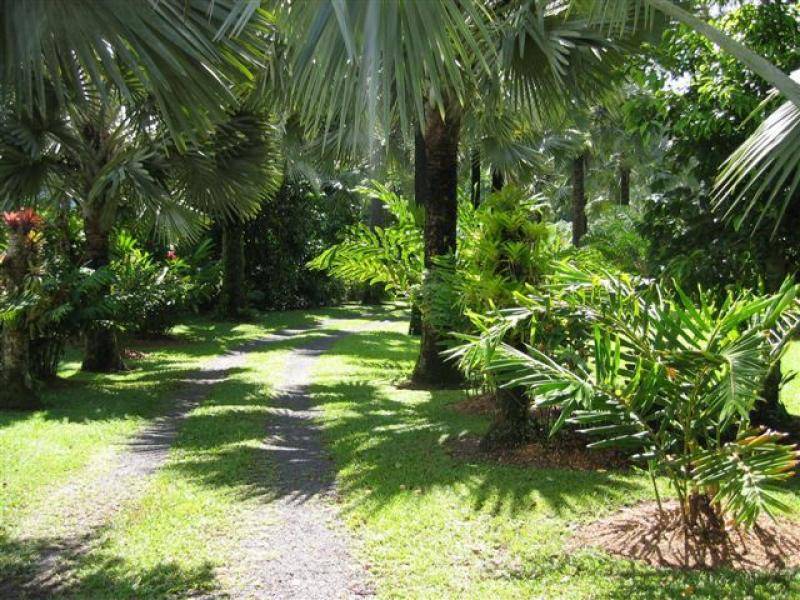 Lot 1 (21) Munro Road, Bellenden Ker QLD 4871