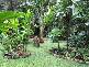 Lot 1 (21) Munro Road, Bellenden Ker QLD 4871