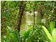 Lot 1 (21) Munro Road, Bellenden Ker QLD 4871