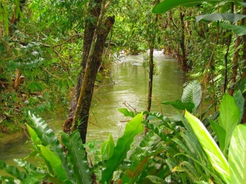 Lot 1 (21) Munro Road, Bellenden Ker QLD 4871