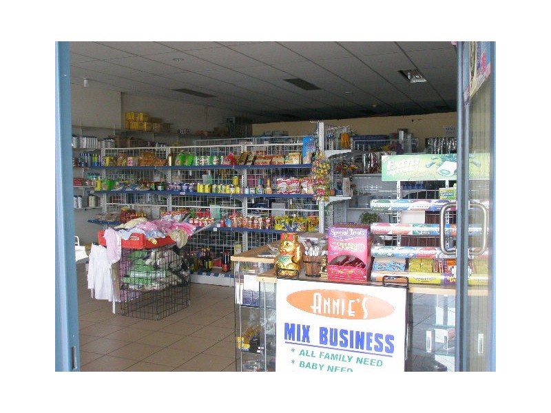 2  Amy Street, Regents Park NSW 2143