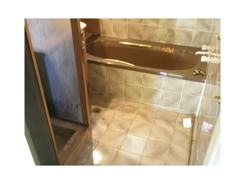 4 Mountview Avenue, Chester Hill NSW 2162