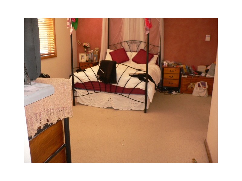 25 Wellington Road, Auburn NSW 2144