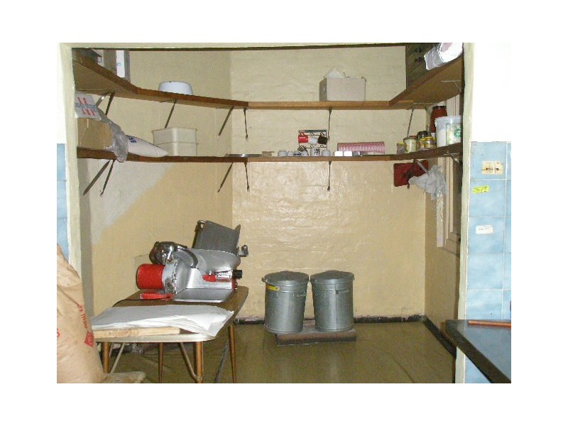 119  Joseph Street, Lidcombe NSW 2141