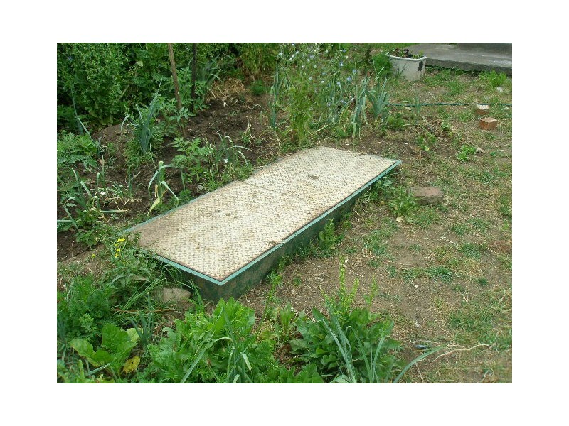 119  Joseph Street, Lidcombe NSW 2141