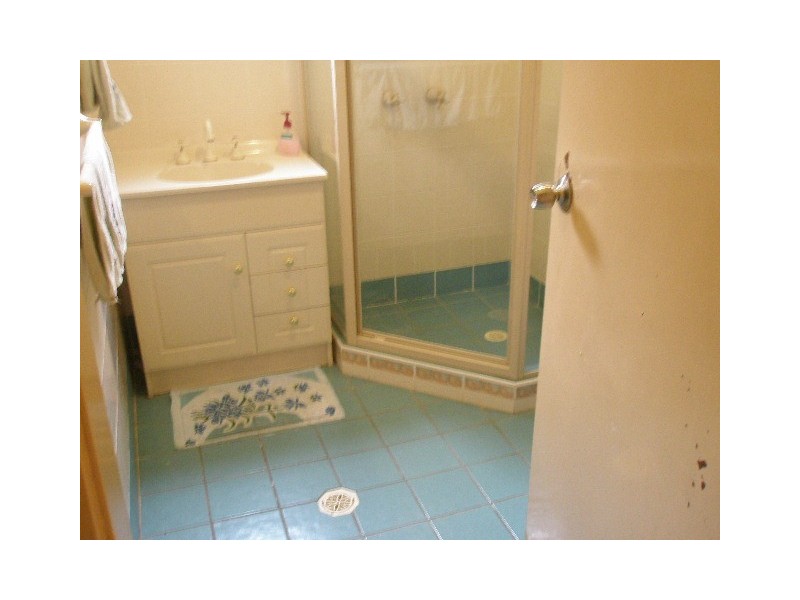 67  Alfred Street, Granville NSW 2142