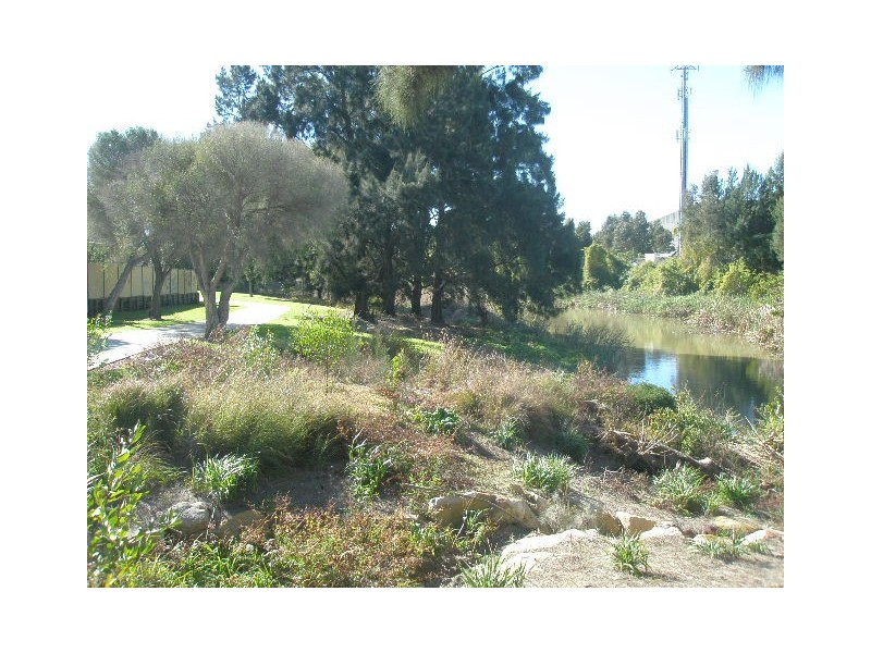 13  Neilson Street, Granville NSW 2142