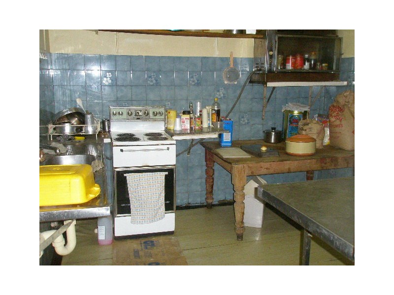 119  Joseph Street, Lidcombe NSW 2141