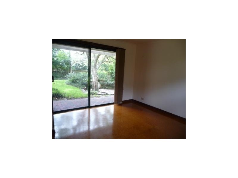 66 Babbage Road, Roseville NSW 2069